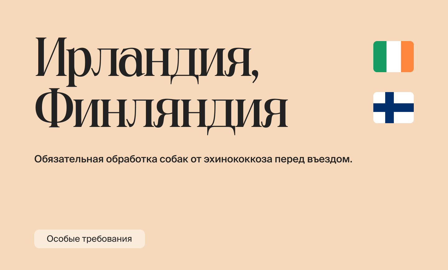 Как релоцироваться с питомцем в 2026 году: правила и документы